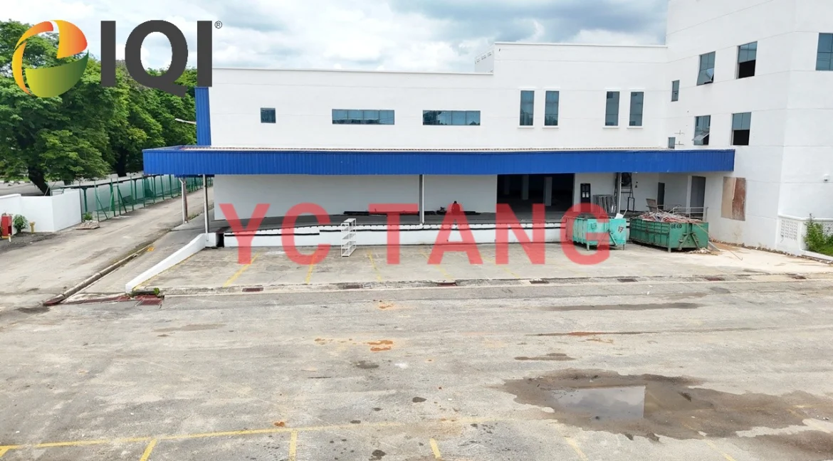 a1746781538018